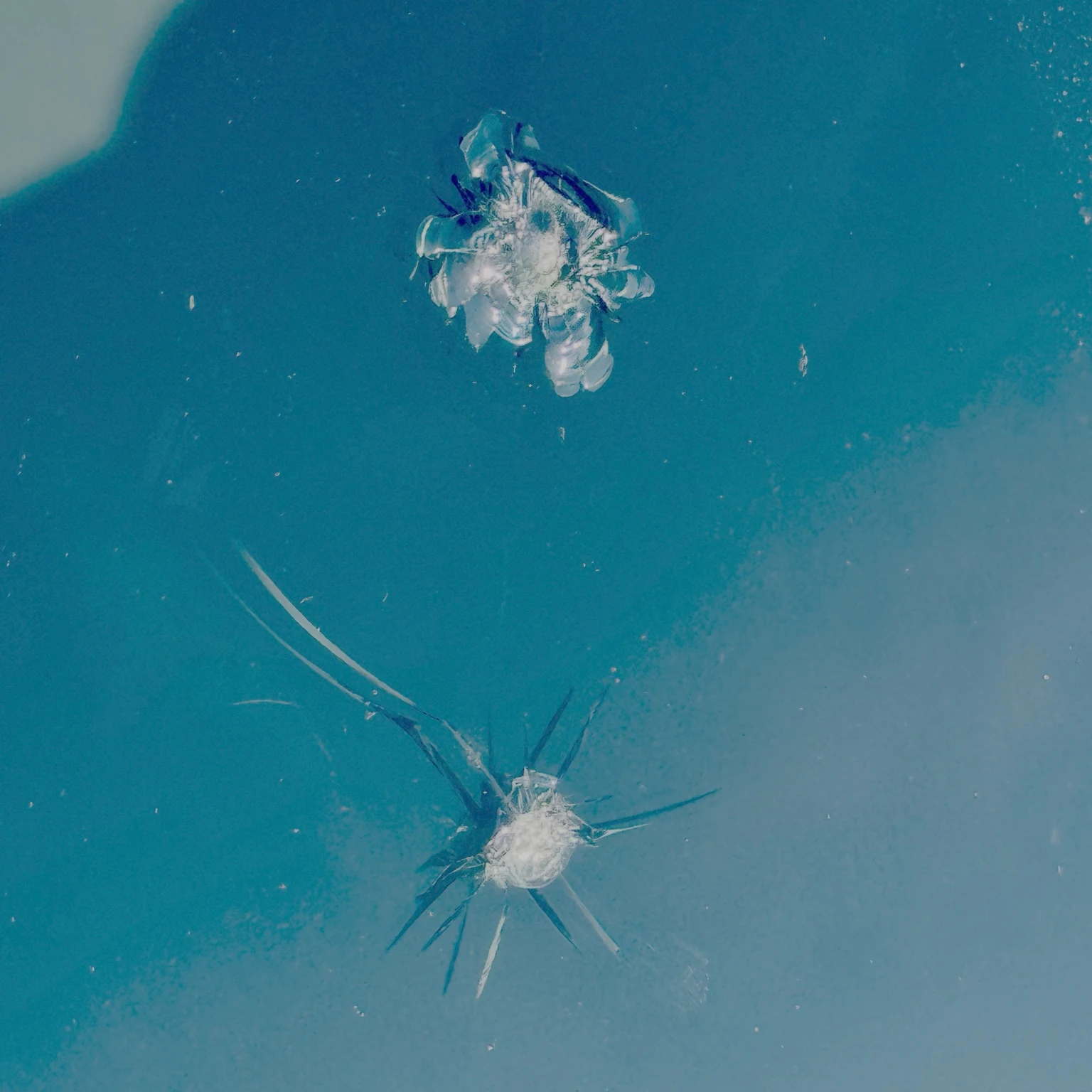 Close-up of two rock-chip impact points on a windshield